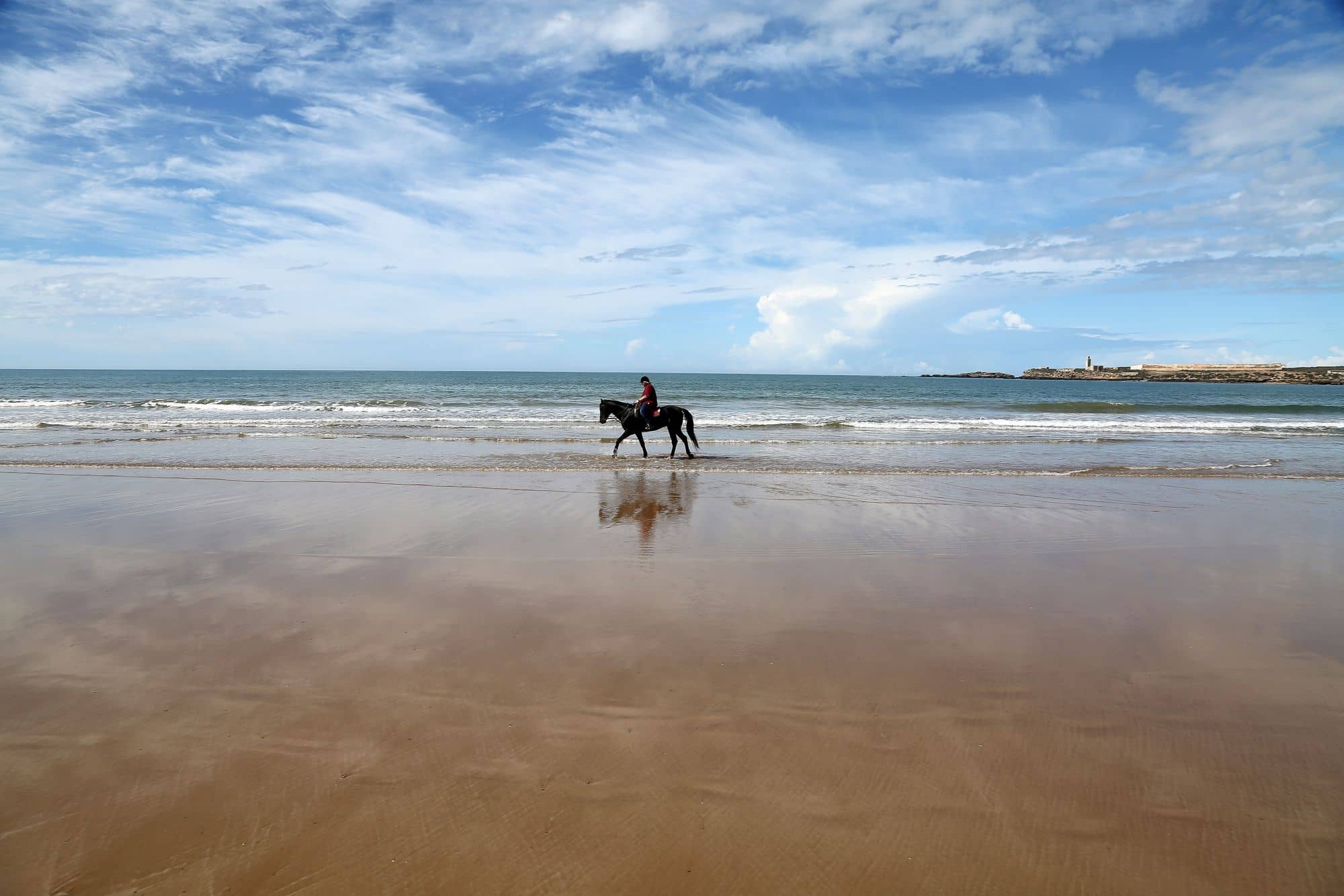 Cavalier sur la plage d'Essaouira