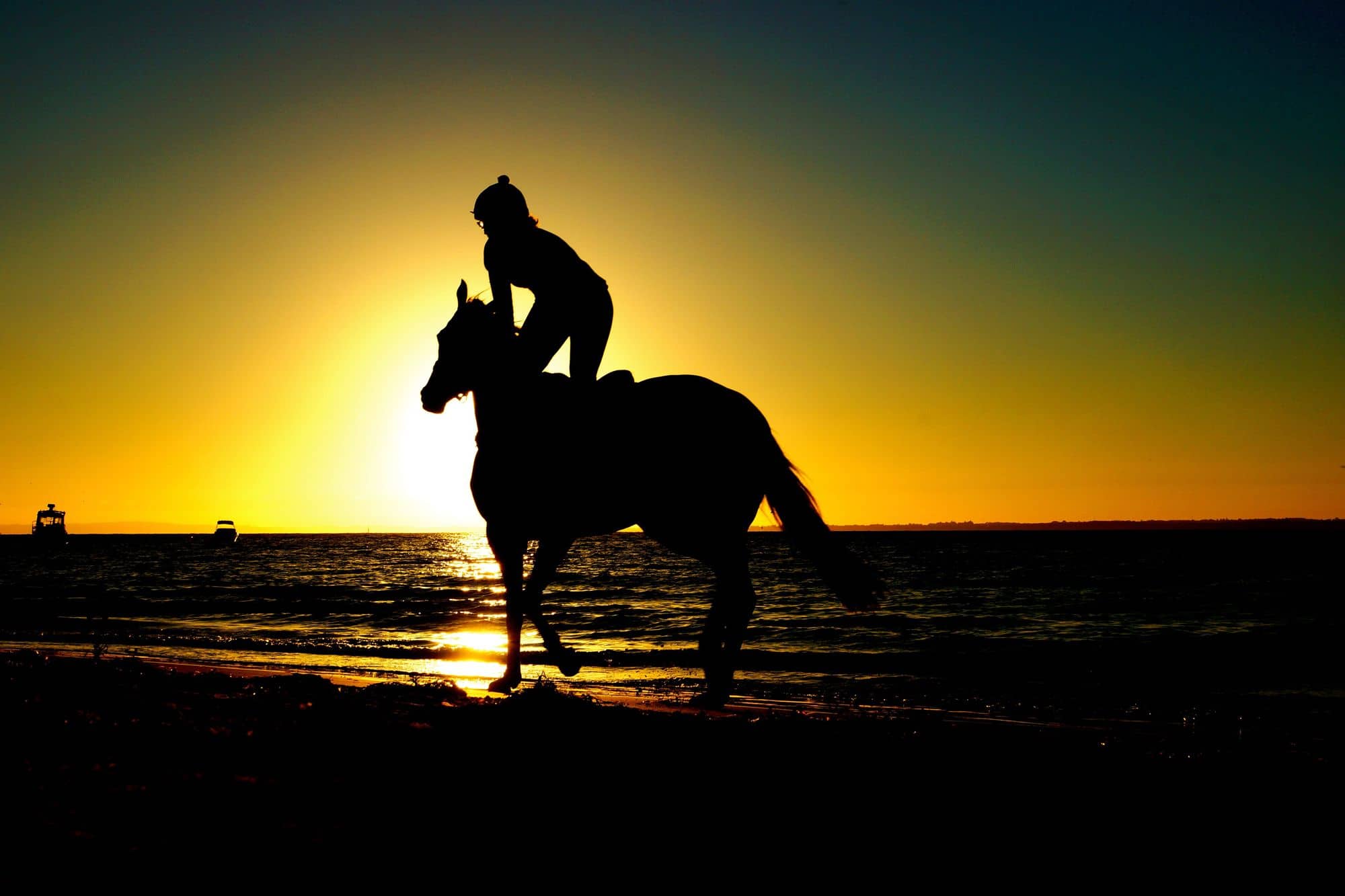 Silhouette d'un cavalier face au soleil couchant
